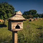 La Naguada En Asturias Tatil Evi