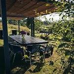 La Naguada En Asturias *