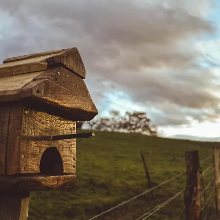 La Naguada En Asturias