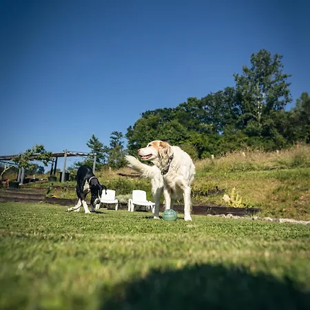 Prázdninový dům La Naguada En Asturias *