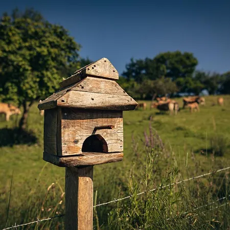 La Naguada En Asturias Prázdninový dům