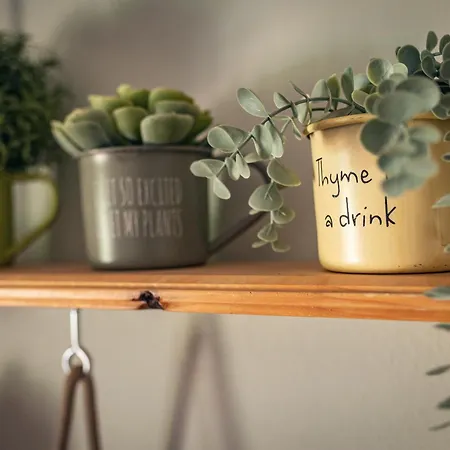 Prázdninový dům La Naguada En Asturias Beloncio