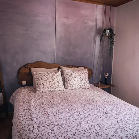 Casa Rural Para 18 Personas En Asturias Beloncio