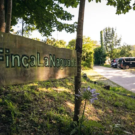 La Naguada En Asturias